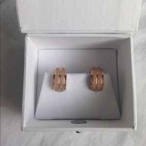 RG ion plated stainless steel earrings